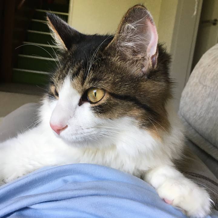 27005ad1 5a25 4c4e 82ac eceb6ae87c67