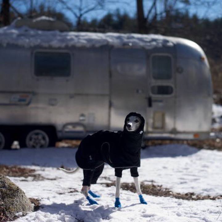 270111f2 4a9c 4597 b7e3 540b187671bf