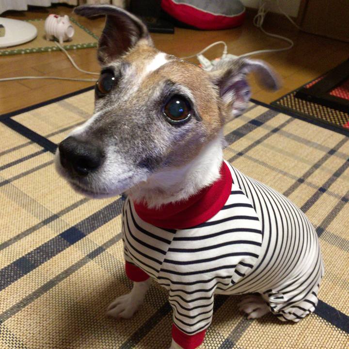 27012d02 8d30 42d9 bce4 a16b81a816e7