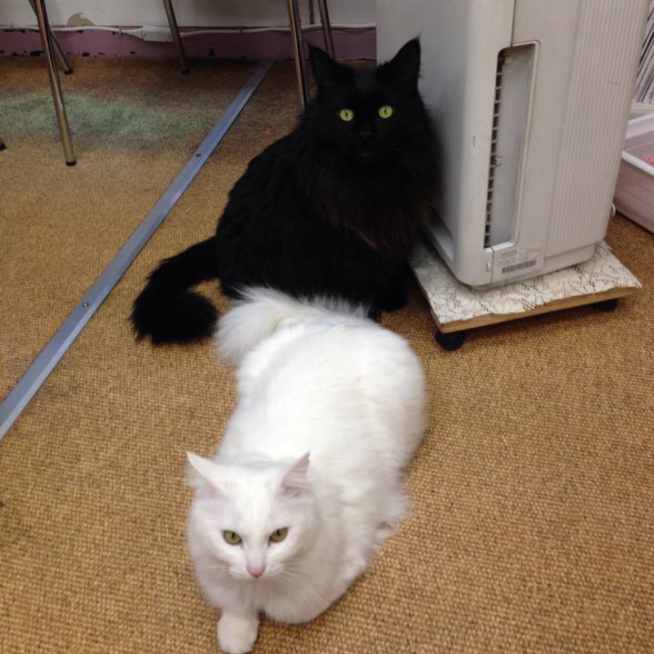 2701f46c b5f3 4812 8f2c fefe87d2ea3e