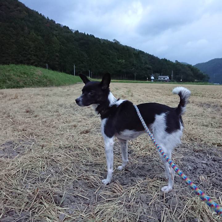 27027aba 7ae3 42e6 8179 d6e5ed331a0d