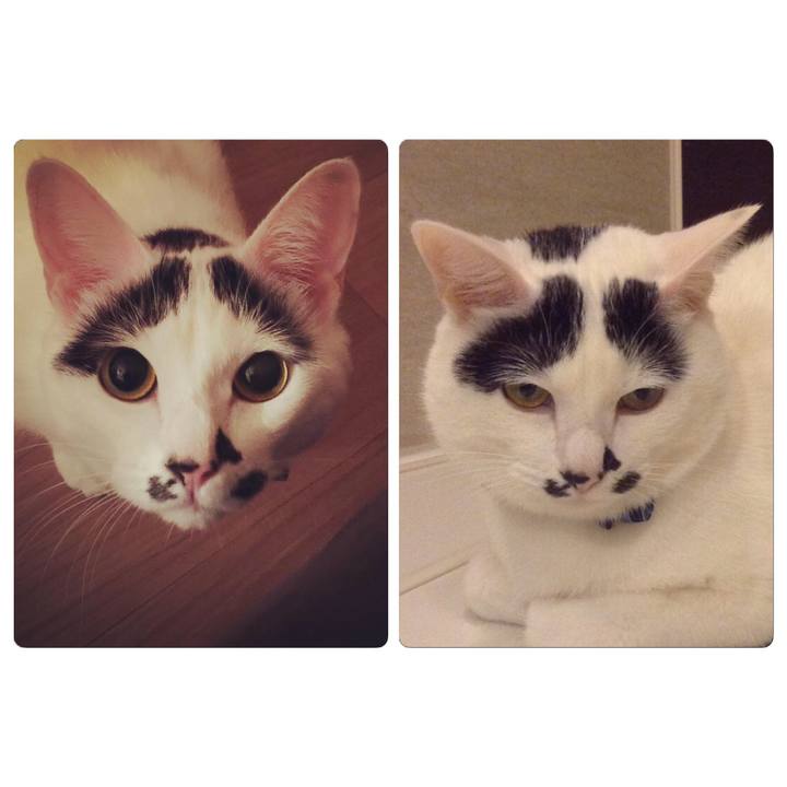 2702a3e2 9f17 49d1 8ca4 d56eafb3532c