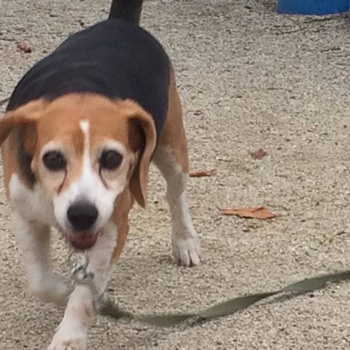 2702cc08 97cd 44d5 85f7 7e015d2b4594