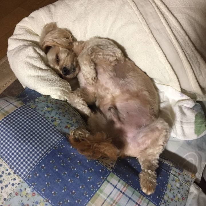 2702f951 16f0 4700 9d96 a1b79798f9a5