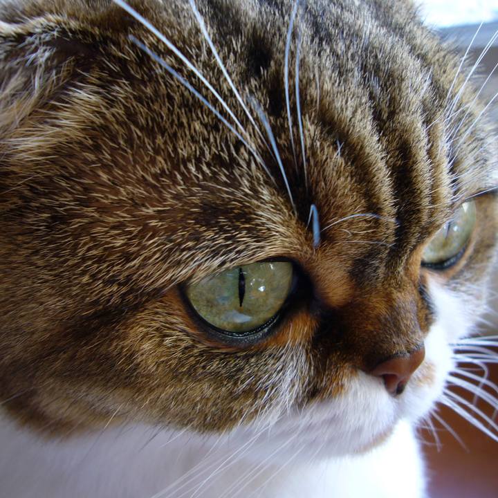 27032c30 fa97 4d74 b7c7 1b6a51a5c323