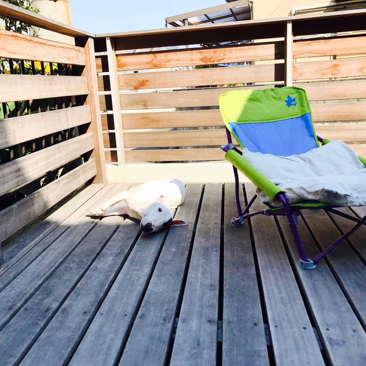 27034a44 9fd1 419a b939 11f45e9f8274