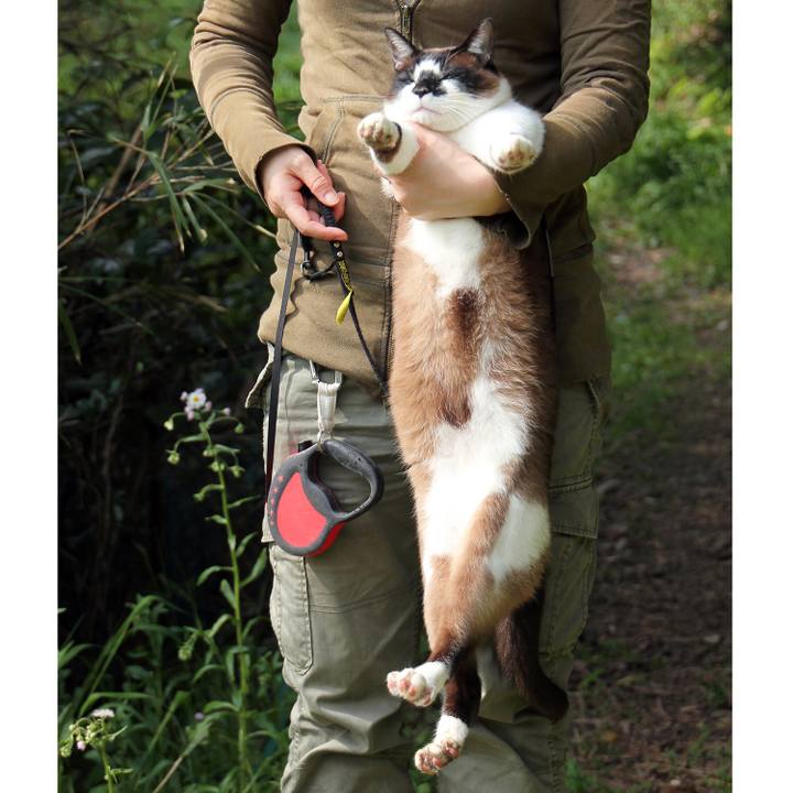 27035fcf bf7a 4871 b260 04fe3b57b998