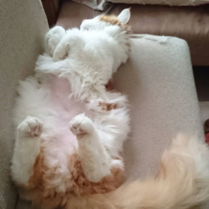 270364bd 35d1 442a a3fd d856ecd52e9d