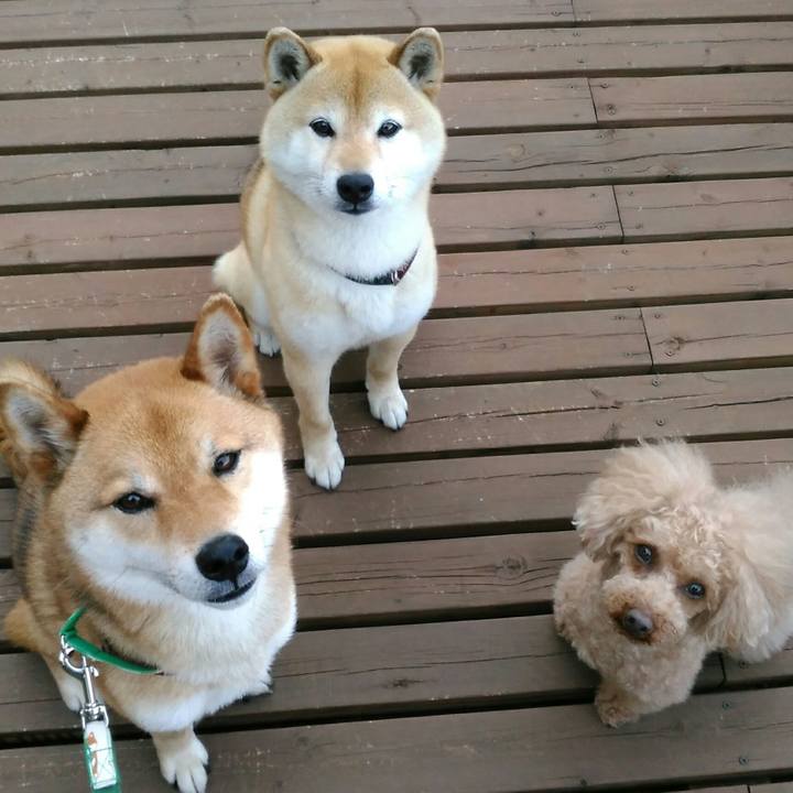 27046822 d81d 471e b50c ea9985c1a6e3