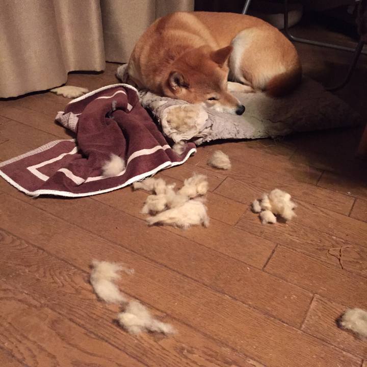 270480a1 85f8 4057 9e23 b44ae3bf2d5c