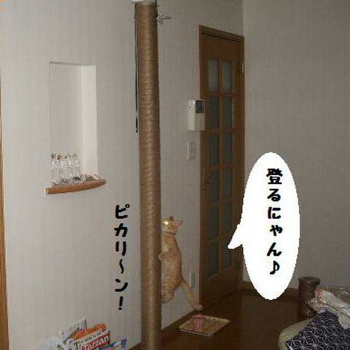 2704aaa8 50b0 4248 8be5 19f881d69990