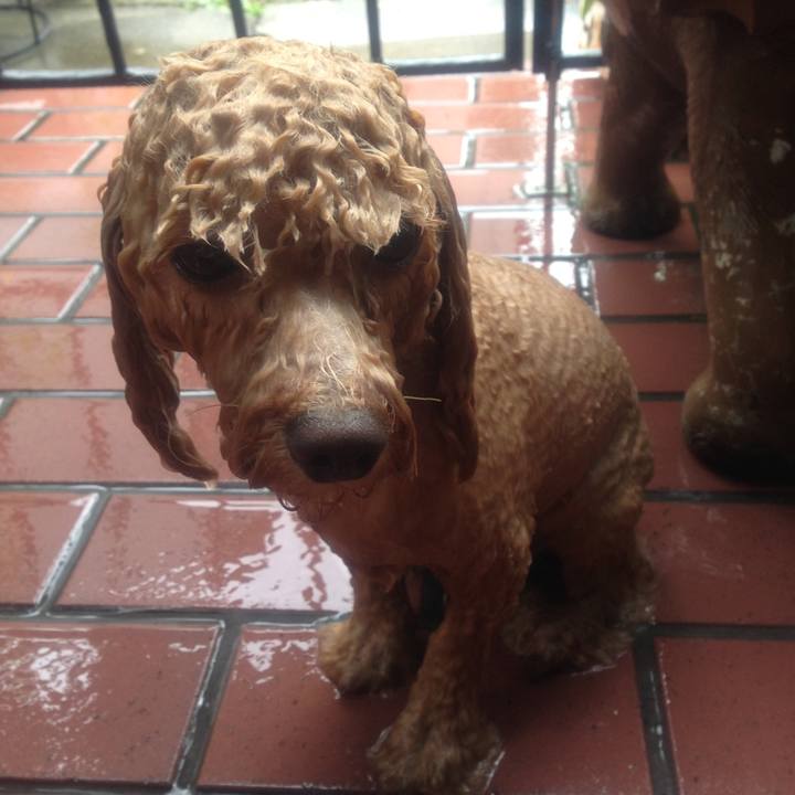 27050153 527c 4966 a25a 1c1f51c6f37f