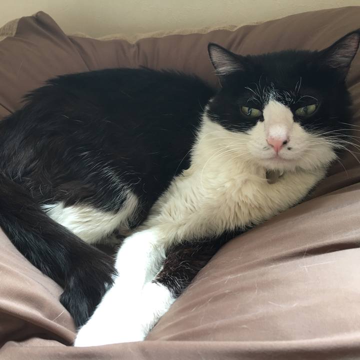 2705e41d 4fda 4535 a9a7 82ae5d1cb097