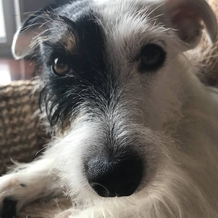 27064d36 9c4d 457a b1b1 850ea14f2c7e