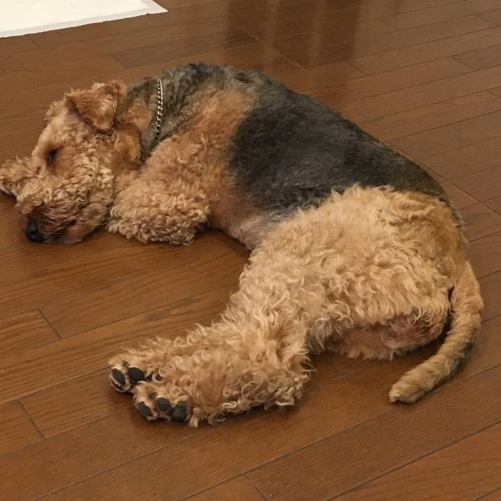 270652b6 2425 4762 bb74 b6c5d60848be