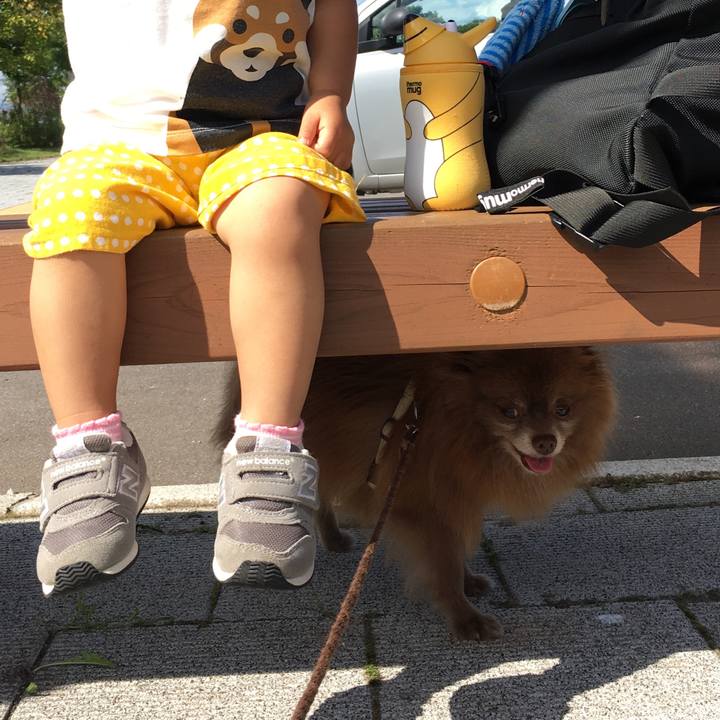 270684f0 b0ef 4b85 a6e6 ac6fd96aaeb9