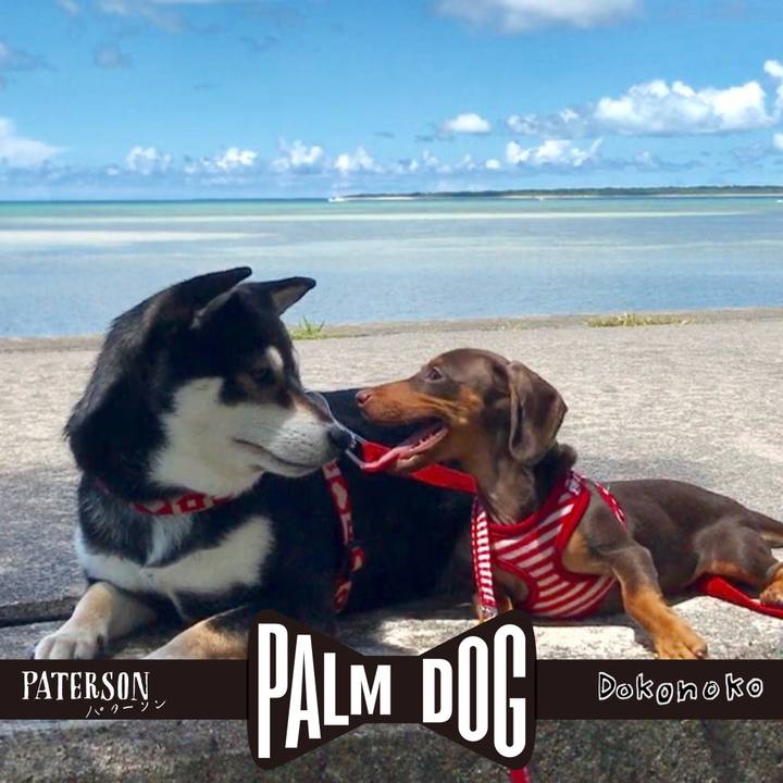 2706ce60 6ed5 4174 9807 1d9fe5f77ff4