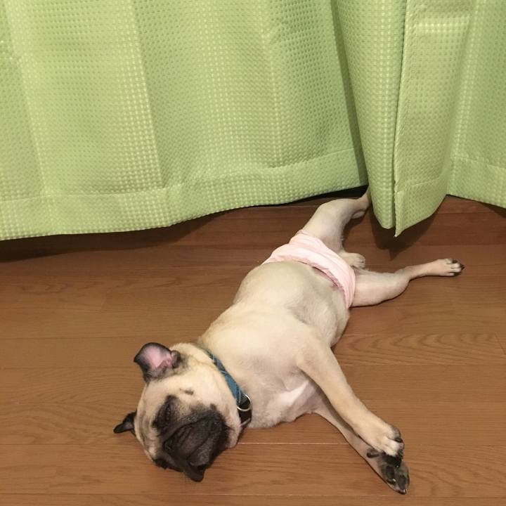 27075f74 d582 429f a520 b464776b29b1