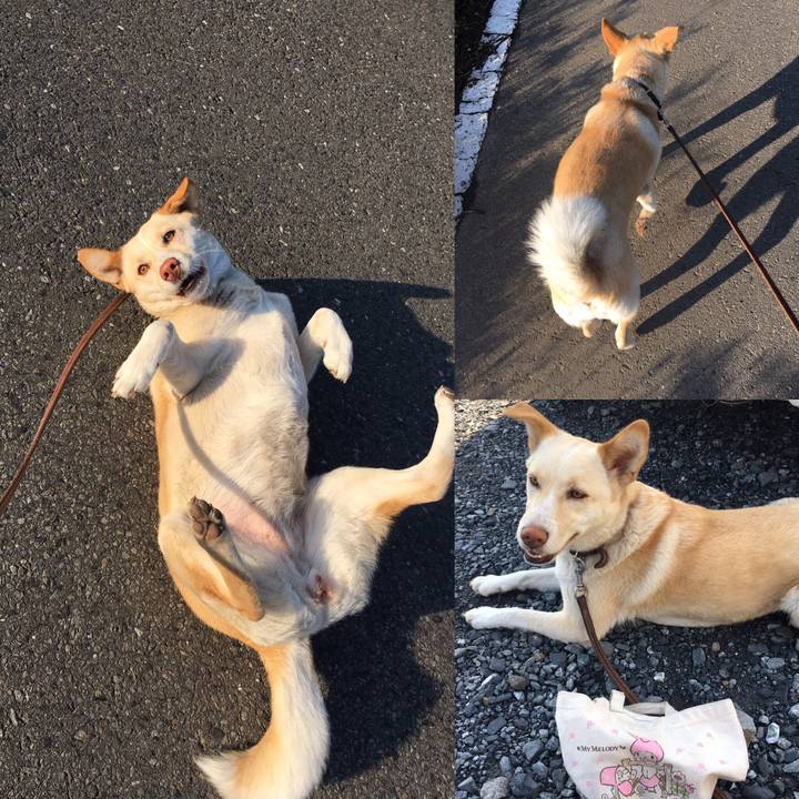 2708094c 80a9 4be9 9476 b80ca5e4d7e9