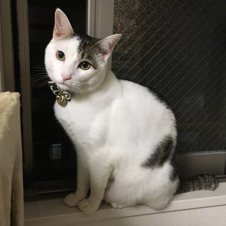 270810ec 9b96 4966 beb6 6ad61362c403