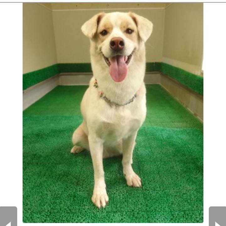 27083fd5 31e6 4ebb acf2 920d9e0f16a5