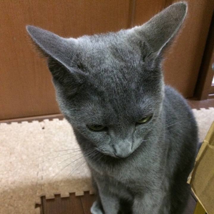 2708b39b b29b 460d 9263 b7eaf97e5c46