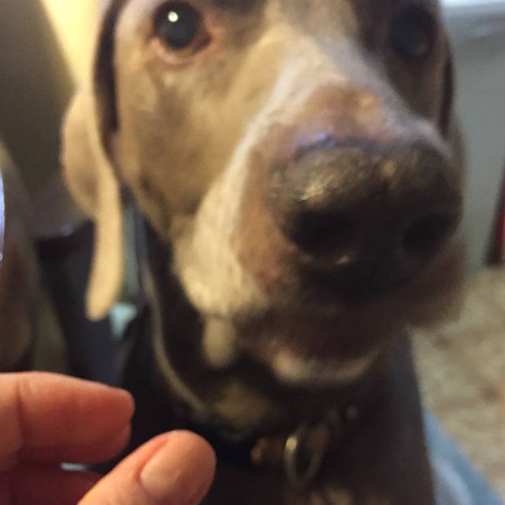 2708ce98 5d83 44a5 94a4 39a5cd8728d5