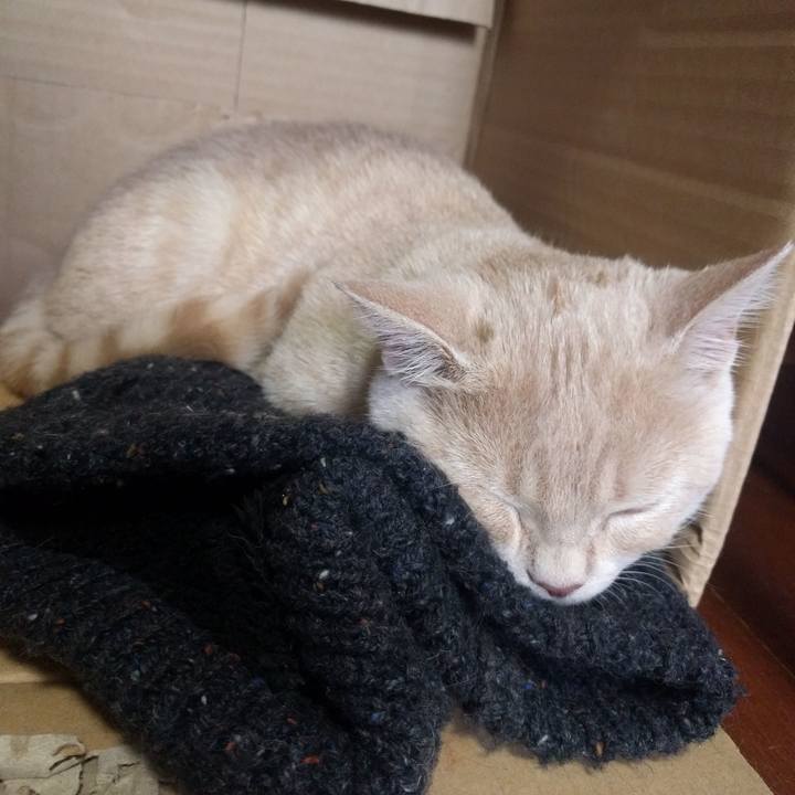 27092aac 402a 4f0e bde9 2762195292f9