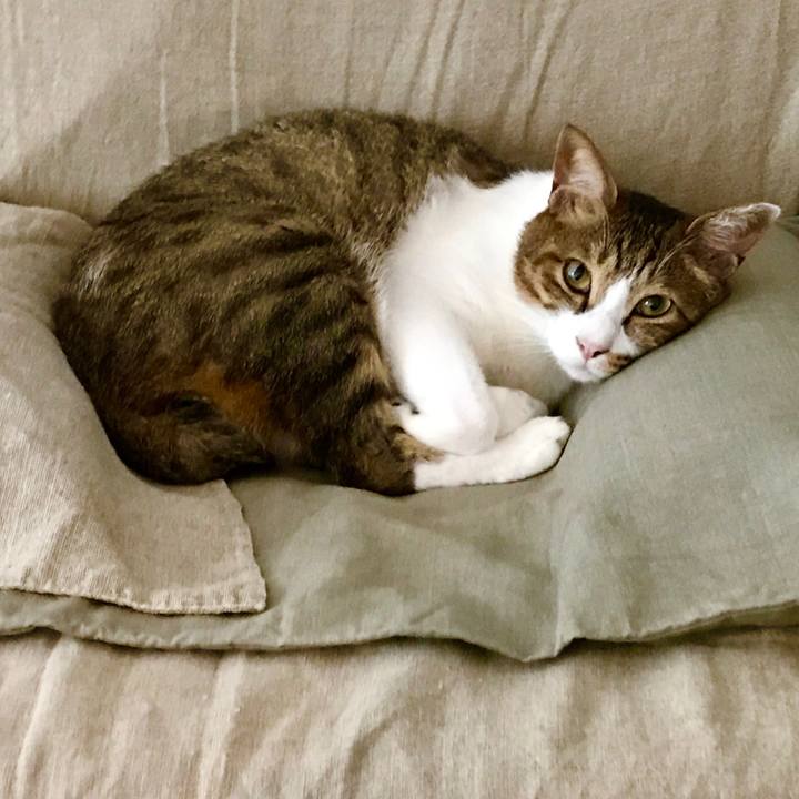 270946e7 86d9 4058 9e68 334577ebbc06