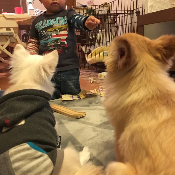 2709c6b7 b556 4cb8 bbb1 23682ae5c051