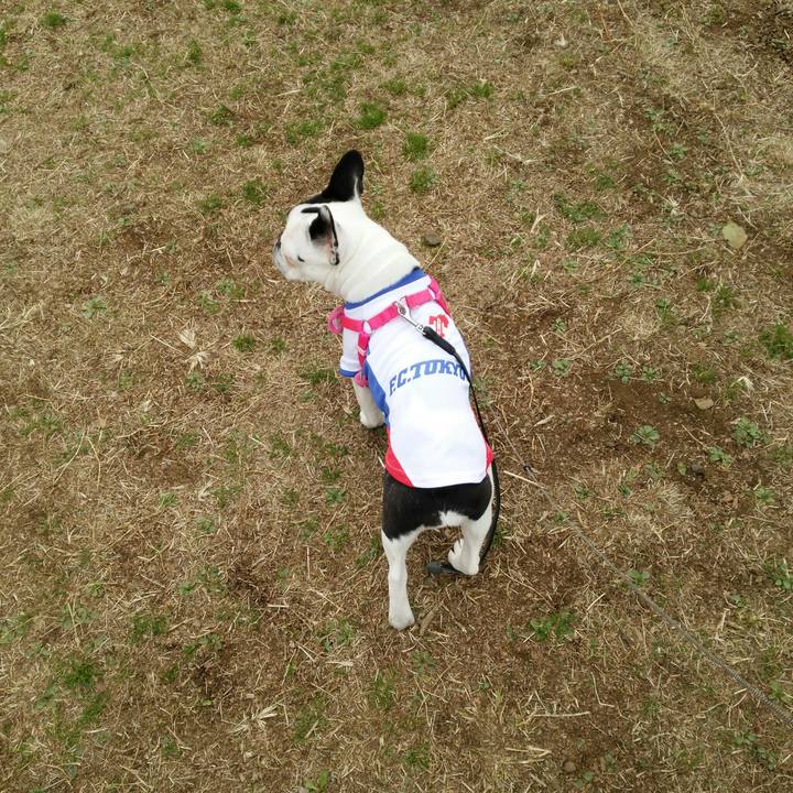 2709fd1f 9117 40ee b766 391af8fda192