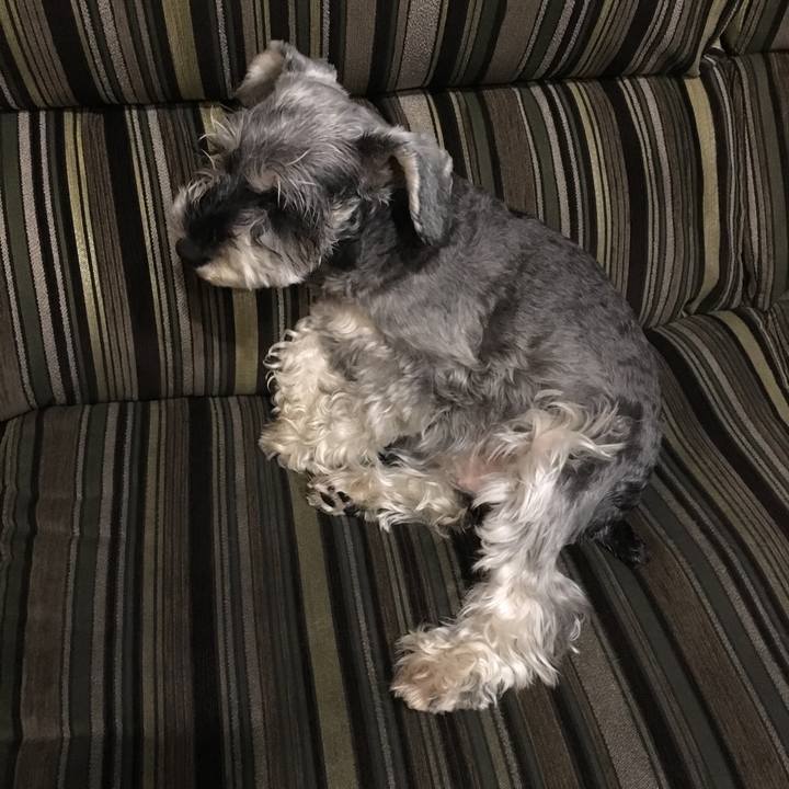 270a1657 b0f3 42a1 b584 5476876e83da