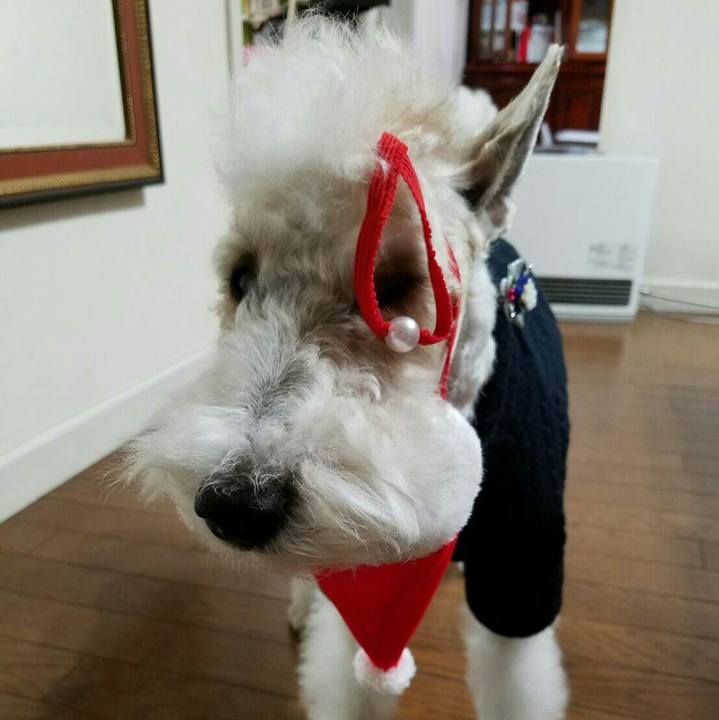 270b373b cf0f 4e28 837e f9201b092191