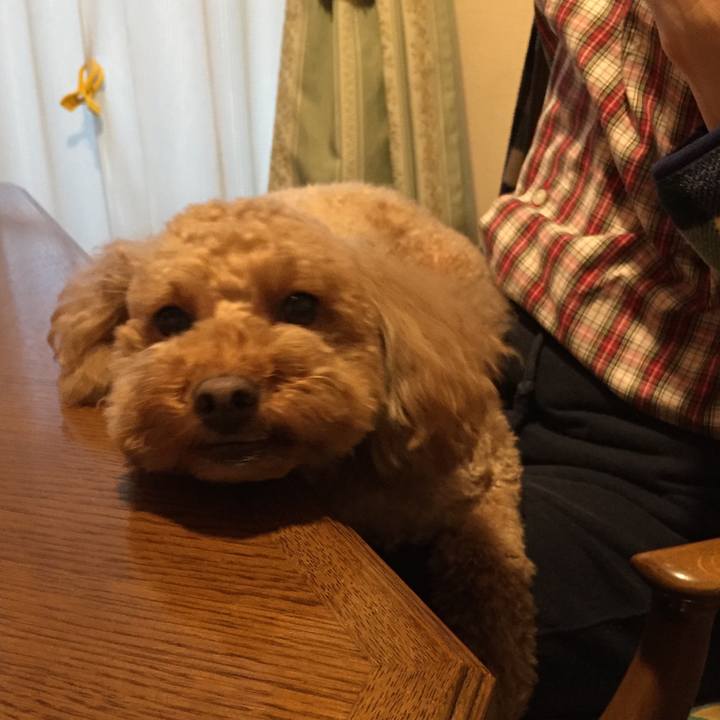 270b4c31 5d30 4c40 828c 326324e340cd