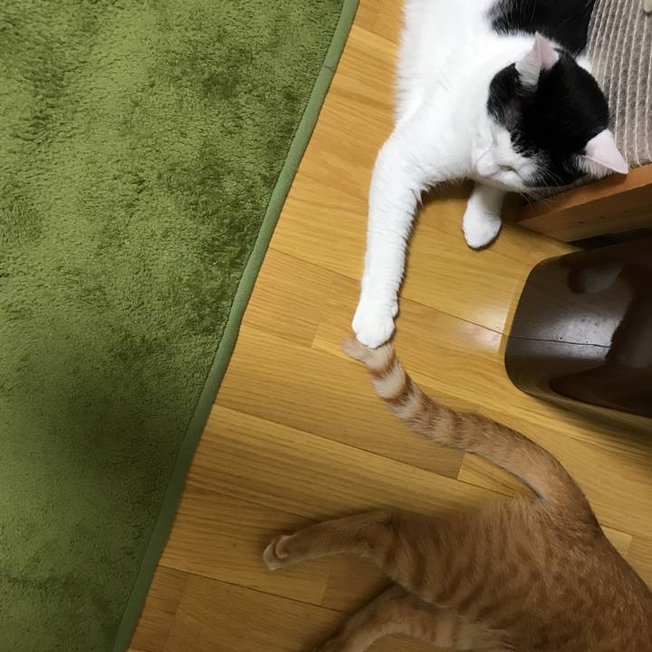 270c12b7 6e61 40ce b0ec c5f9b4d61bd6