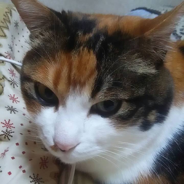 270ca0a8 6a3d 4cf0 88d0 2941fc0fed36