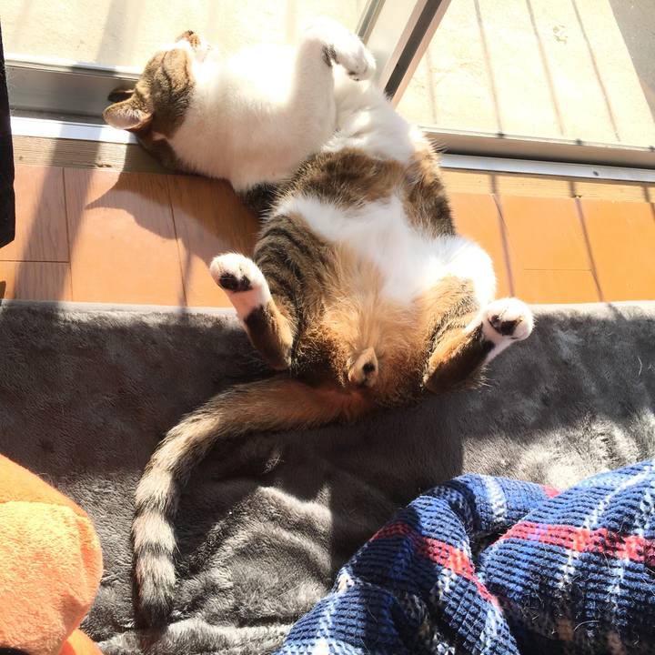 270cb462 1a21 4dbb 90df 0e26b288cb9a