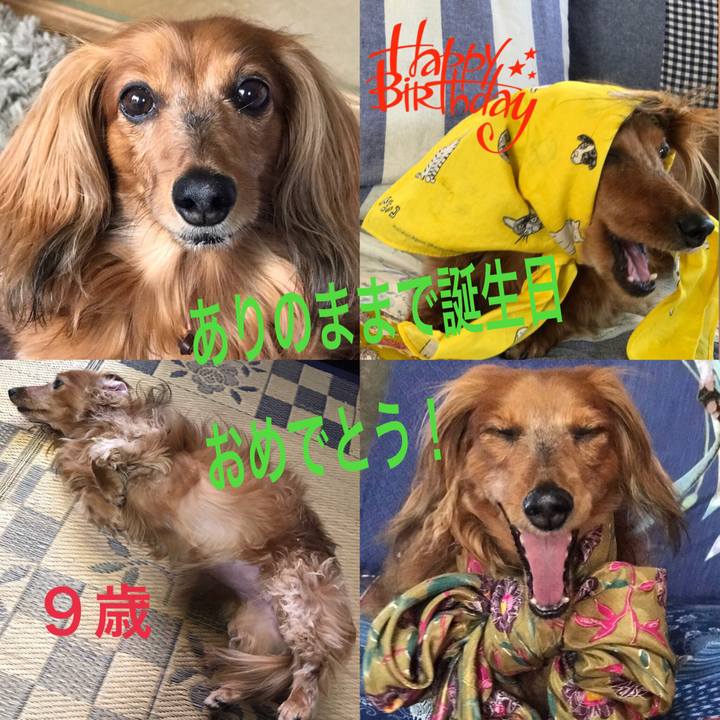 270cd0a6 a8bf 45a2 98f4 9ce83c0cb87f