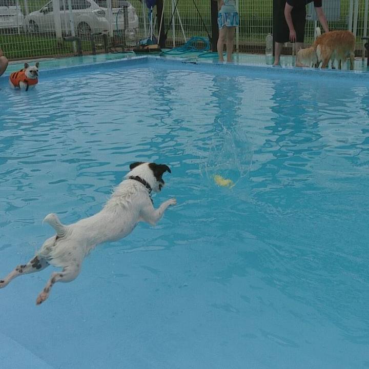 270d7304 160a 49a3 b0ff 971a83203b35