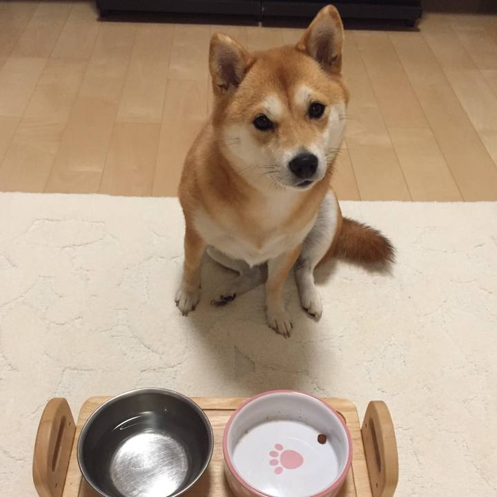 270d8288 ec97 4aef b35b 25f328743b54