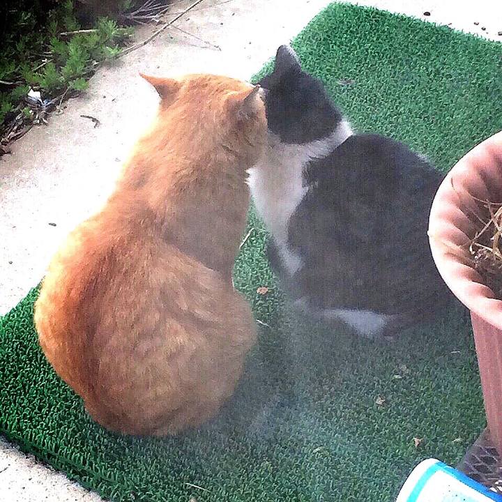 270e32cd ead9 425a b837 6e0685410a68