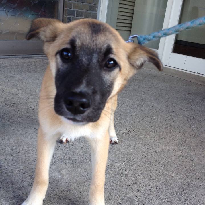 270e9eb8 d4a3 4701 a00a 4e9015a9db97