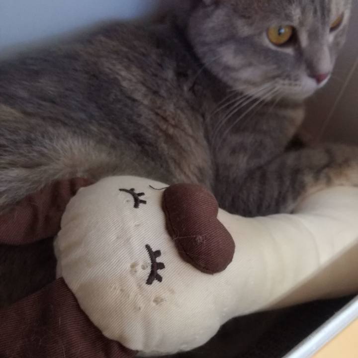 270ff165 3c84 4d05 9f40 caa2a13f4c87