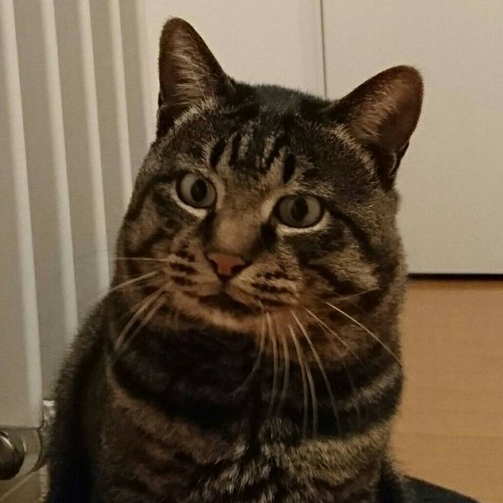 270ff98f 92c0 4c35 9c35 776b6b7950b4