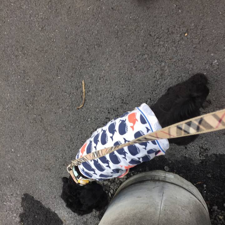 27108e05 3e93 4b02 a6f4 baa7803b1a00