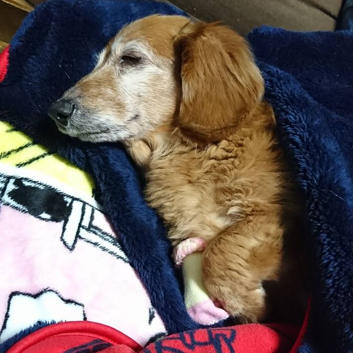 2710bc63 37f1 4ebe 9a57 aacb2ff918d1