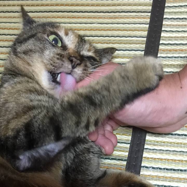 2711b3cb 38bf 4e41 bcc0 8868e42f98f3