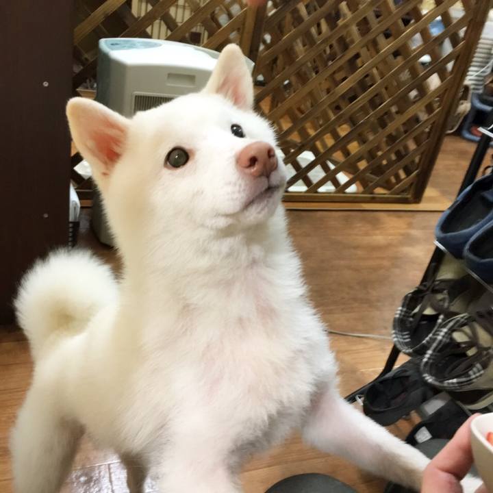 2711e115 0c9d 4c2c bd09 bd6ad5403b40