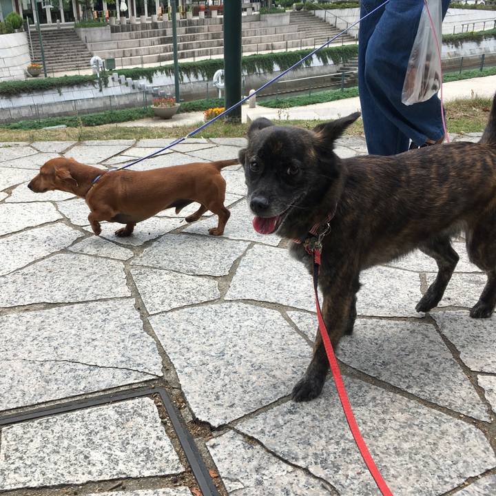 271230ba 8f57 4520 a0d8 bc0b5328fd9c