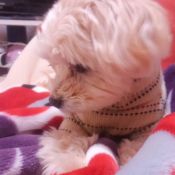 27124667 015f 4211 bb52 9462c2df54bb